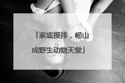 家底摸排，崂山成野生动物天堂