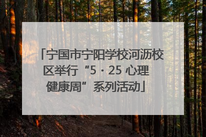 宁国市宁阳学校河沥校区举行“5・25 心理健康周”系列活动