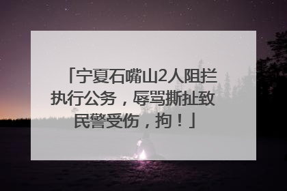 宁夏石嘴山2人阻拦执行公务，辱骂撕扯致民警受伤，拘！