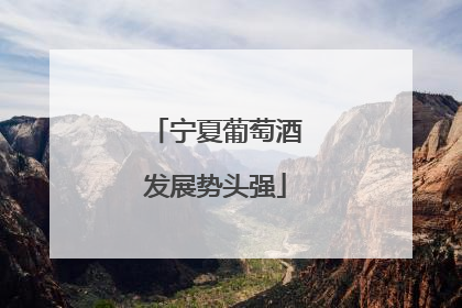 宁夏葡萄酒发展势头强