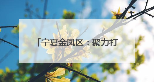 宁夏金凤区：聚力打造汽车产业新生态