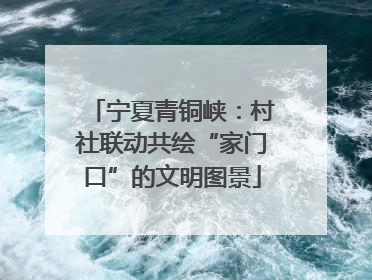 宁夏青铜峡：村社联动共绘“家门口”的文明图景