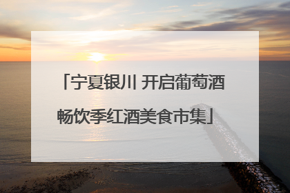 宁夏银川 开启葡萄酒畅饮季红酒美食市集