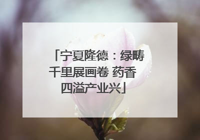 宁夏隆德：绿畴千里展画卷 药香四溢产业兴