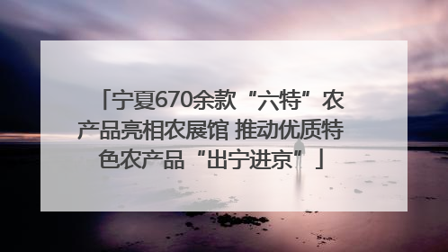 宁夏670余款“六特”农产品亮相农展馆 推动优质特色农产品“出宁进京”