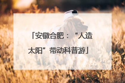 安徽合肥：“人造太阳”带动科普游
