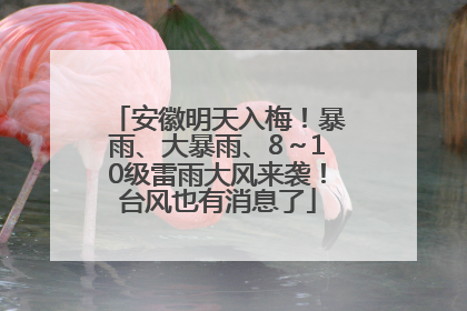 安徽明天入梅！暴雨、大暴雨、8～10级雷雨大风来袭！台风也有消息了