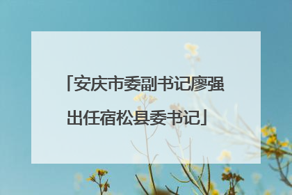 安庆市委副书记廖强出任宿松县委书记