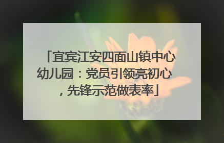 宜宾江安四面山镇中心幼儿园：党员引领亮初心，先锋示范做表率
