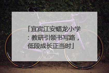 宜宾江安蟠龙小学：教研引领书写路，低段成长正当时