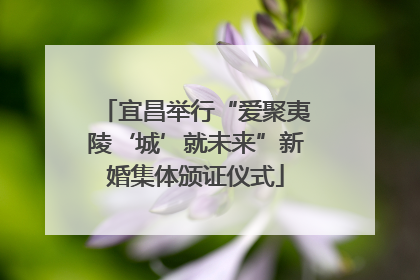 宜昌举行“爱聚夷陵‘城’就未来”新婚集体颁证仪式