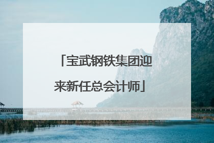 宝武钢铁集团迎来新任总会计师