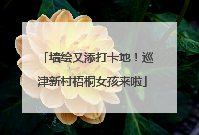 墙绘又添打卡地！巡津新村梧桐女孩来啦