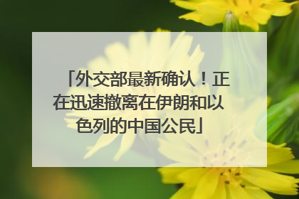 外交部最新确认！正在迅速撤离在伊朗和以色列的中国公民