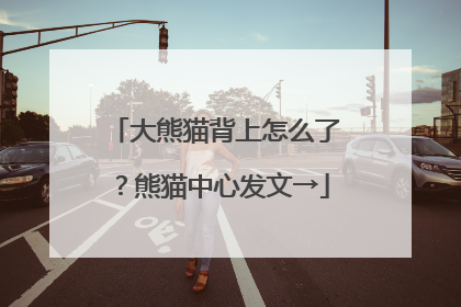 大熊猫背上怎么了？熊猫中心发文→