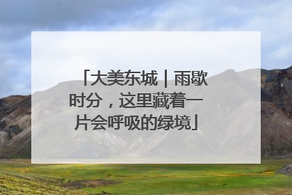 大美东城｜雨歇时分，这里藏着一片会呼吸的绿境