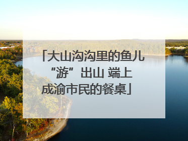 大山沟沟里的鱼儿 “游”出山 端上成渝市民的餐桌