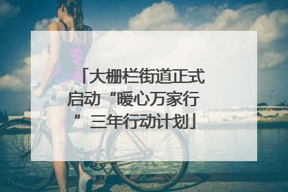 大栅栏街道正式启动“暖心万家行”三年行动计划