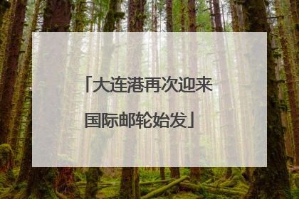 大连港再次迎来国际邮轮始发