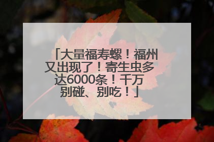 大量福寿螺！福州又出现了！寄生虫多达6000条！千万别碰、别吃！