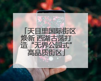 天目里国际街区焕新 西湖古荡打造“无界公园式”高品质街区