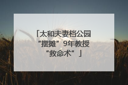 太和夫妻档公园“摆摊”9年教授“救命术”
