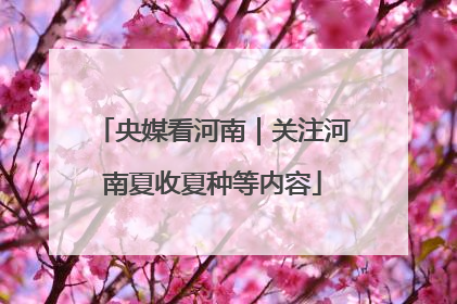 央媒看河南｜关注河南夏收夏种等内容