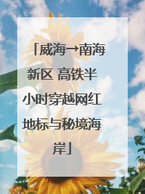 威海→南海新区 高铁半小时穿越网红地标与秘境海岸