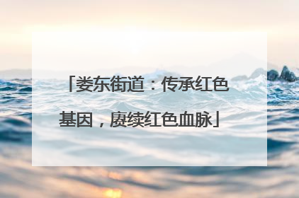 娄东街道：传承红色基因，赓续红色血脉