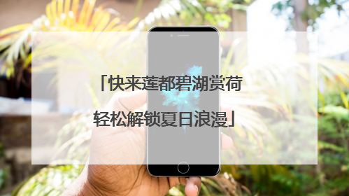 快来莲都碧湖赏荷 轻松解锁夏日浪漫