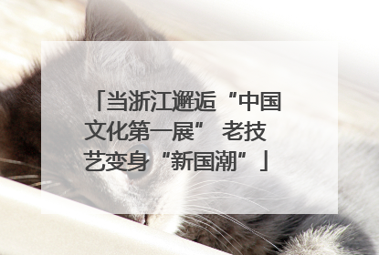 当浙江邂逅“中国文化第一展” 老技艺变身“新国潮”