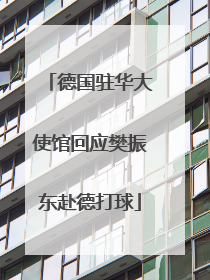 德国驻华大使馆回应樊振东赴德打球
