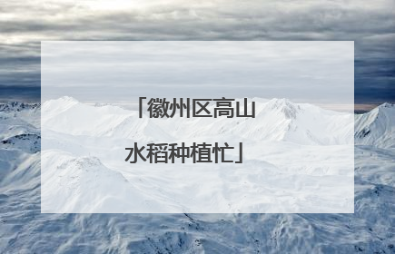 徽州区高山水稻种植忙