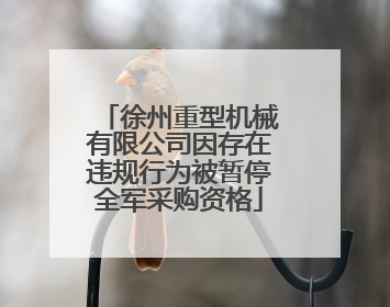 徐州重型机械有限公司因存在违规行为被暂停全军采购资格