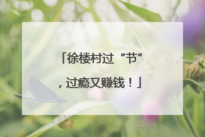 徐楼村过“节”，过瘾又赚钱！