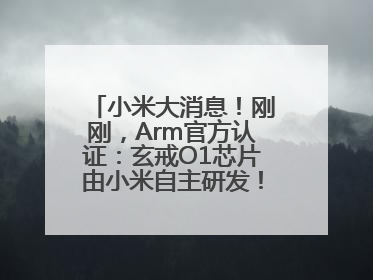 小米大消息！刚刚，Arm官方认证：玄戒O1芯片由小米自主研发！雷军此前称已开始大规模量产