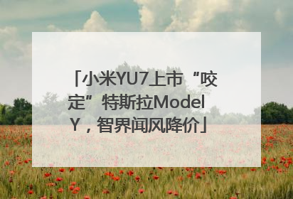 小米YU7上市“咬定”特斯拉Model Y，智界闻风降价