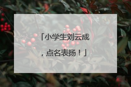 小学生刘云成，点名表扬！