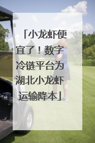 小龙虾便宜了！数字冷链平台为湖北小龙虾运输降本