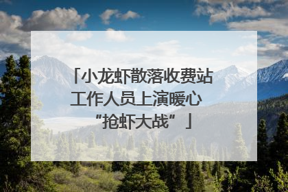 小龙虾散落收费站 工作人员上演暖心“抢虾大战”