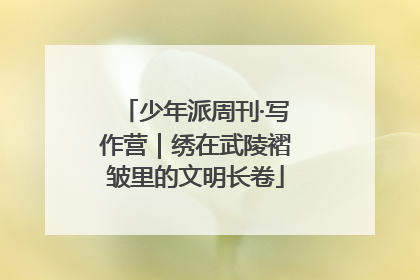 少年派周刊·写作营｜绣在武陵褶皱里的文明长卷