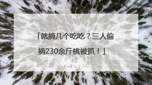 就摘几个吃吃？三人偷摘230余斤桃被抓！