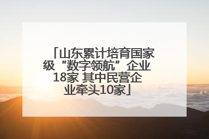 山东累计培育国家级“数字领航”企业18家 其中民营企业牵头10家