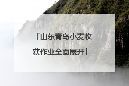 山东青岛小麦收获作业全面展开
