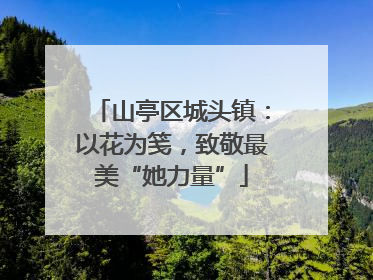 山亭区城头镇：以花为笺，致敬最美“她力量”
