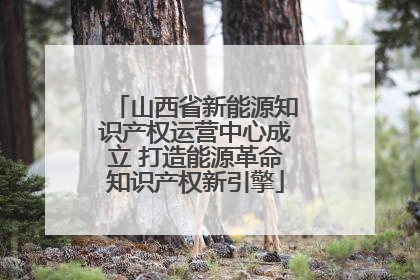 山西省新能源知识产权运营中心成立 打造能源革命知识产权新引擎