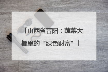 山西省昔阳：蔬菜大棚里的“绿色财富”