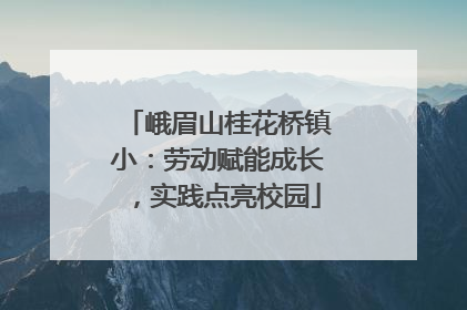 峨眉山桂花桥镇小：劳动赋能成长，实践点亮校园
