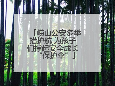 崂山公安多举措护航 为孩子们撑起安全成长“保护伞”