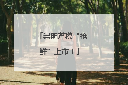 崇明芦穄“抢鲜”上市！